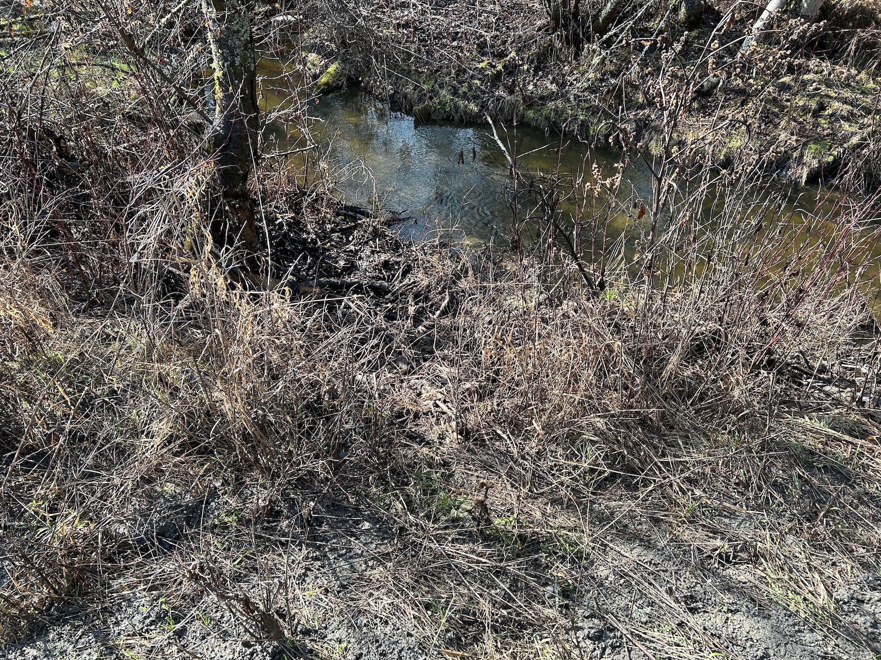 from Road